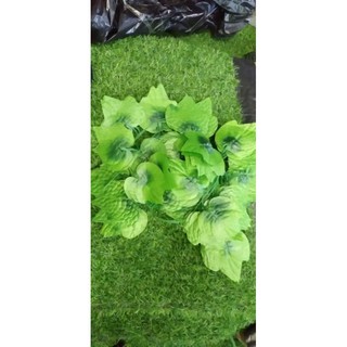 Combo 300 dây lá thường xuân Sỉ