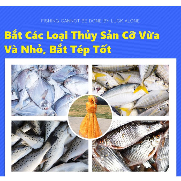 Chài Dù Vàng Mắt 1.8cm Chân Xích Hàng Thái Lan Chính Hãng Bung 8m cao 4m nặng 5kg Sợi Dù Siêu Dai