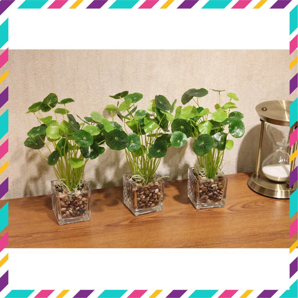 CÂY RAU MÁ NHẬT LÁ TRÒN TO - Cây cảnh giả dòng thủy sinh trang trí không gian nhà đẹp - Hoa giả giá sỉ tốt nhất thị trư