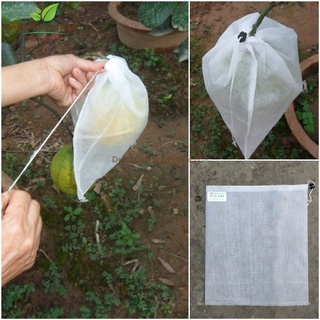 100 Túi bao bưởi diễn mận, bưởi phúc trạch…25x30 ( Vải không dệt chuyên dụng)