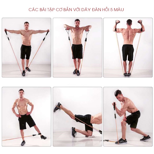 DÂY NGŨ SẮC ĐÀN HỒI TẬP GYM
