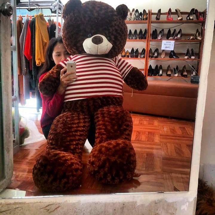 Gấu bông Teddy Cao Cấp khổ vải 2m Cao 1,8m màu nâu hàng VNXK