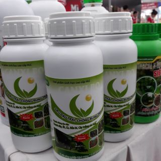 Canxi bo chống rụng trái non, tăng cường ra hoa cho nhóm rau màu bầu bí chanh dây