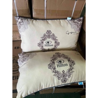 Ruột Gối Hitton Trắng Cao Cấp