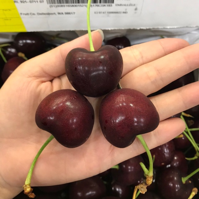 Cherry Mỹ sz 9.5 - hàng mới về