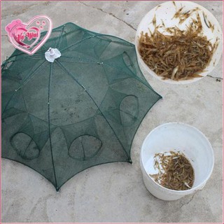 Lưới bắt cá bát quái
