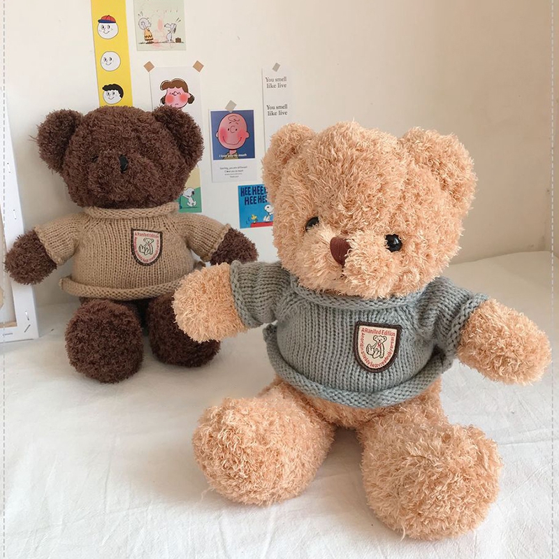 Gấu Teddy Hoạt Hình Nhồi Bông Đáng Yêu