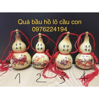 Quả bầu hồ lô cầu con, quả đã phơi khô