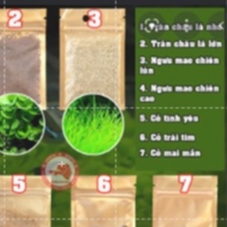 Hạt giống cây thủy sinh bể cá cảnh (combo 3 gói 10gr)