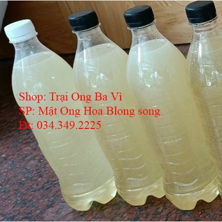 Mật ong trắng hoa blong song hoa ngũ gia bì mật vào chính vụ rất thơm đặc sản yên bái