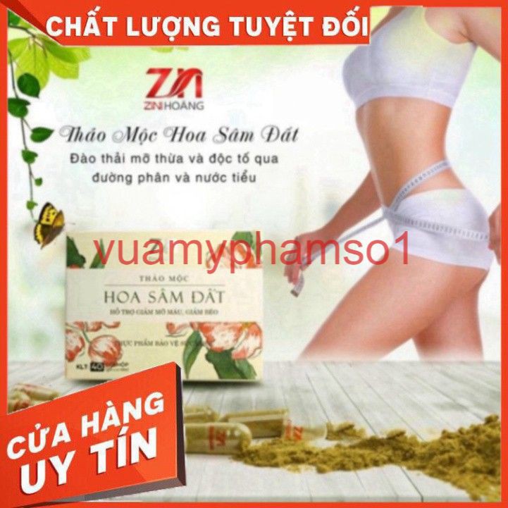 TRÀ THẢO MỘC HOA SÂM ĐẤT