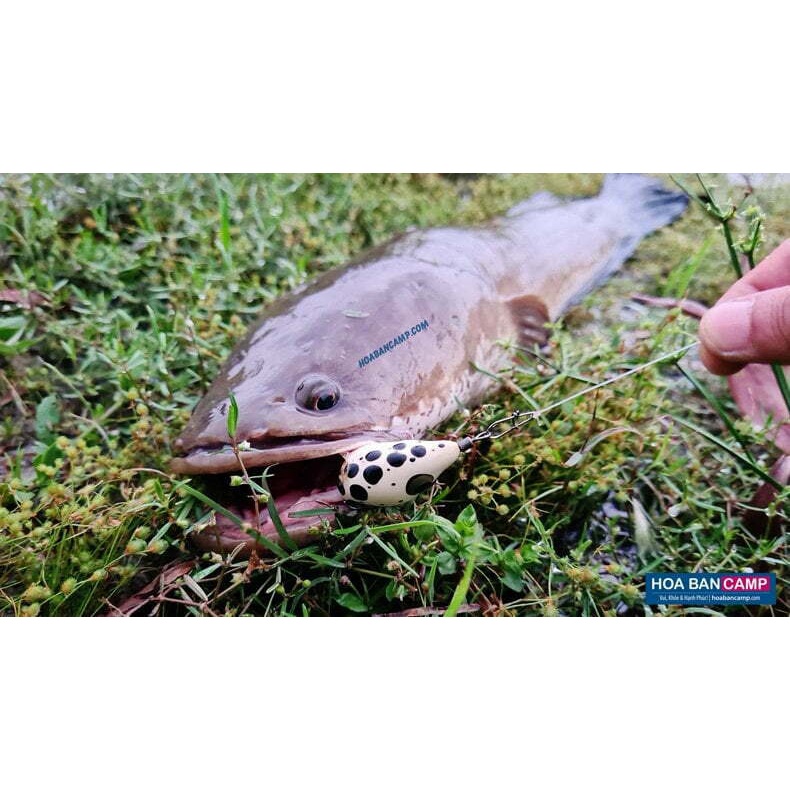 Mồi Lure Nhái Hơi TNQ N7 7g  & C10 10g