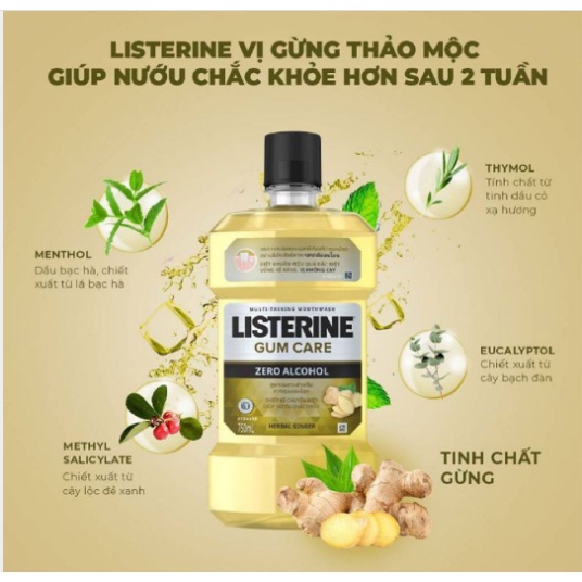 Nước Súc Miệng Listerine Gum Care Không Cay 250ml