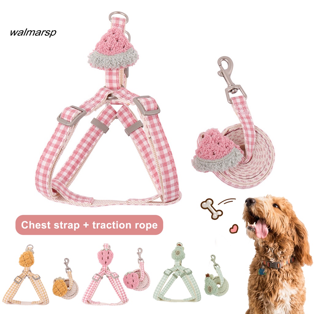 Set dây đeo ngực dắt thú cưng đi dạo tiện dụng