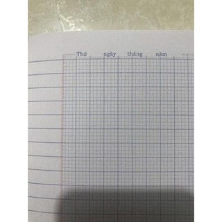 Lốc 10 cuốn tập 96tr DANA ô ly - ko ô ly 70gsm