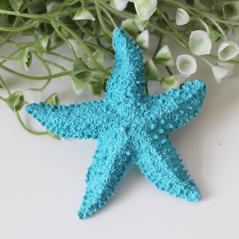 Mô hình sao biển trang trí size 8cm thân dày  - Decor đồ trang trí theo phong cách biển Địa Trung Hải