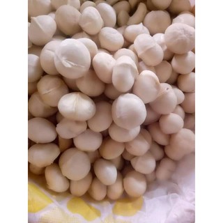 Macca loại 1 nhà vườn Đăk Lăk