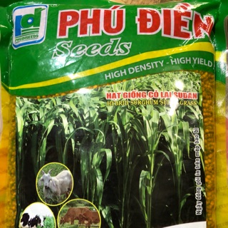 Hạt giống cỏ lai sudan 500gr