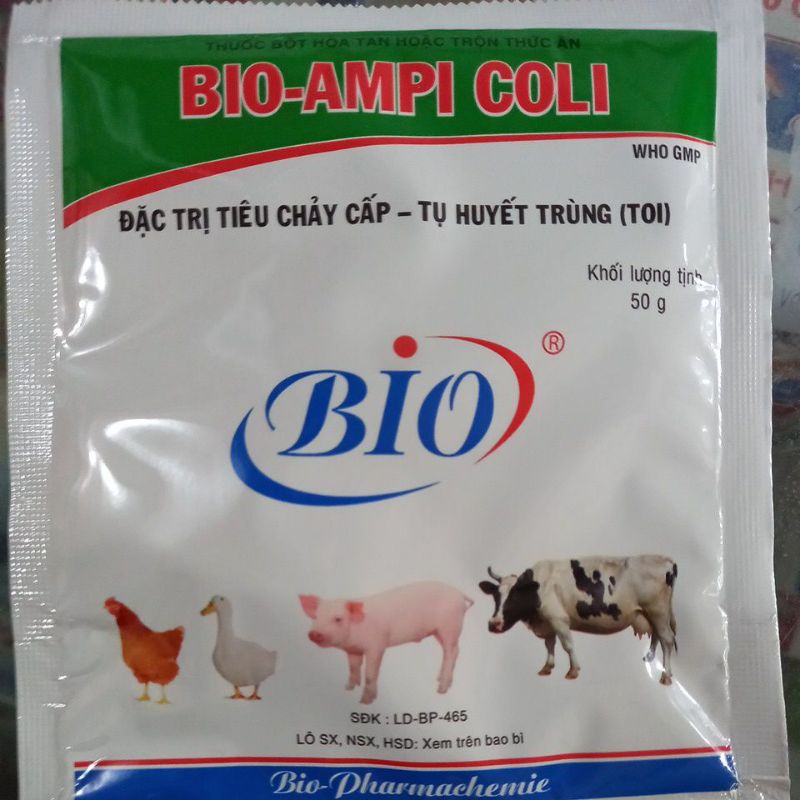 Ampicoli bio 50g sản phẩm chất lượng cao điều trị tiêu chảy cho gia súc, gia cầm