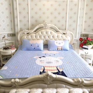 Chiếu điều hoà tencel