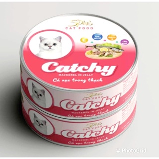 Pate Mèo Lon Catchy 170g Hãng 5plus Thức Ăn Dinh Dưỡng Cho Mèo