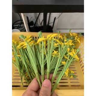 Lily bộ đất sét ( 1 bịch 5 bộ)