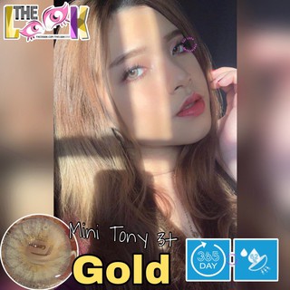 CONTACT LENS MÀU GOLD - VÀNG NÂU - ÁP TRÒNG - CÓ ĐỘ