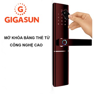 Khóa cửa thông minh Gigasun D07R