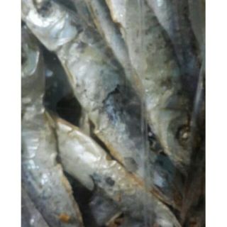 CÁ NỤC KHÔ LOẠI NGON (NHẠT)