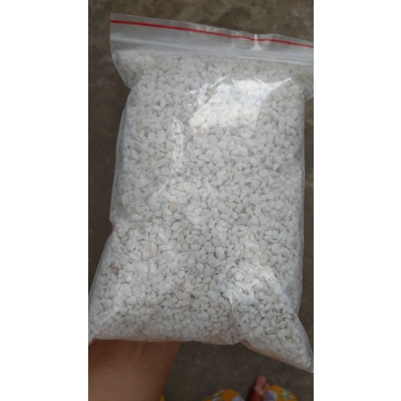 1L đá Perlite - đá Trân châu trồng sen đá, xương rồng, dâu tây, ...