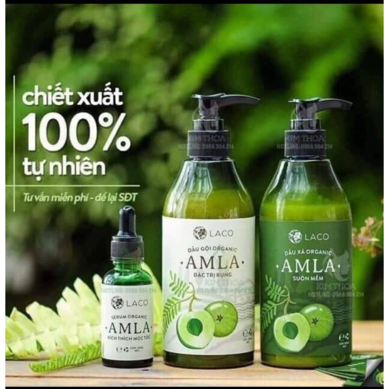 Bộ Ba Sản Phẩm Dầu Gội-Dẩu Xả-Serum Amla Laco Kích Mọc Ngăn Rụng Tóc Chính Hãng | BigBuy360 - bigbuy360.vn
