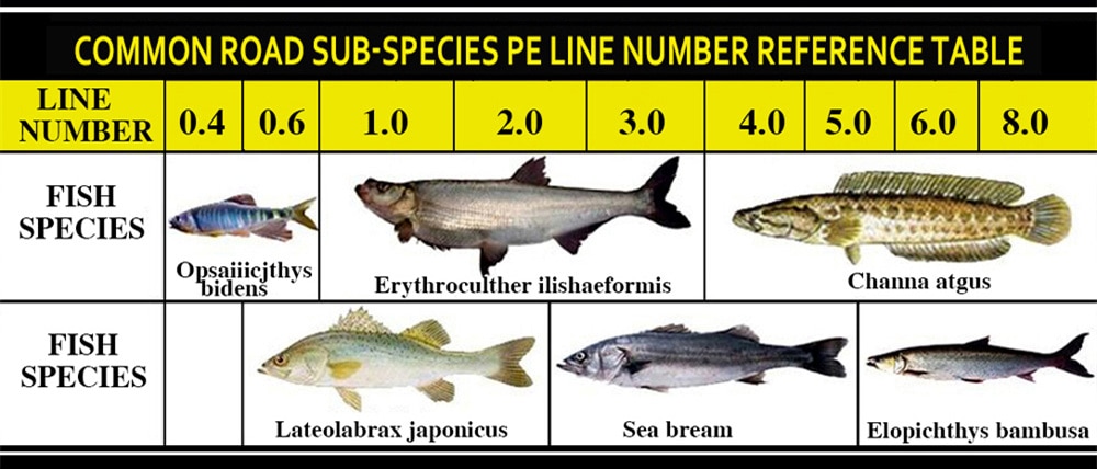 Cuộn dây câu cá bện 9 sợi chất lượng cao X9 dài 100M