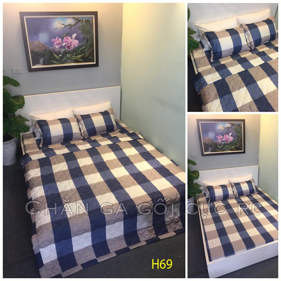 Combo chăn ga gối cotton