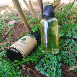 Tinh dầu Tràm Gió 10ml tới  50ml