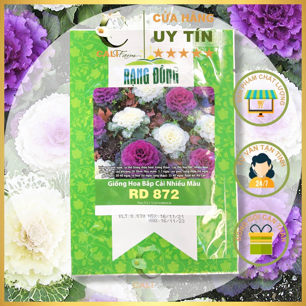 Hạt Giống Hoa Bắp Cải Kiểng Nhiều Màu RD 872 Gói 0.1g