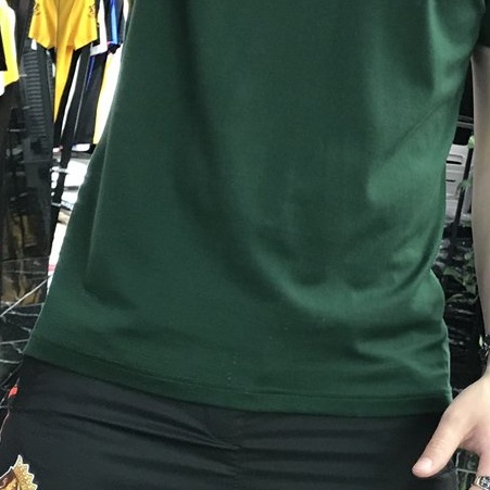 Mẫu áo POLO xanh ve chai thêu ngực-cổ bẻ cao cấp vải cotton cá sấu form chuẩn D1 -KO Fashion