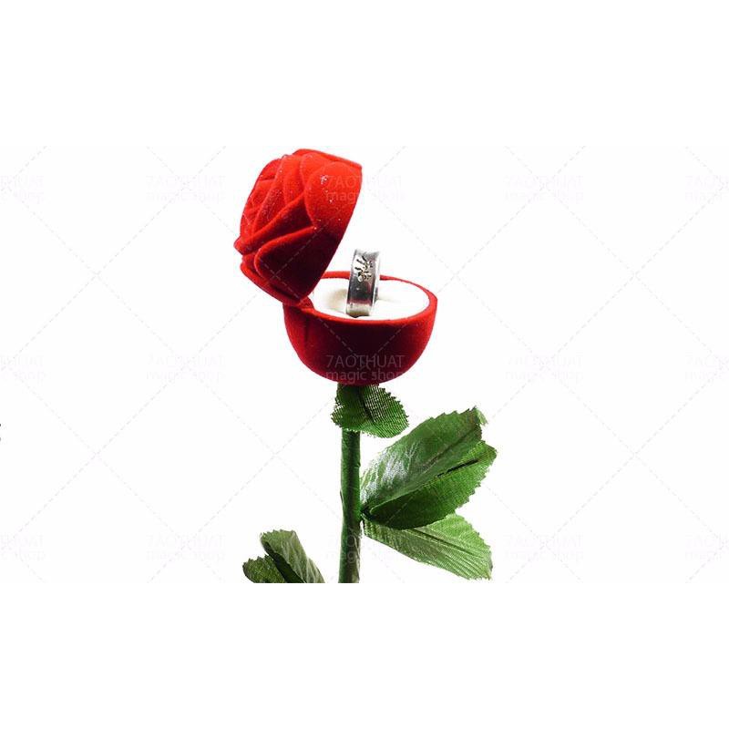 Ảo thuật với hoa hồng câu hôn : Chiếc nhẫn nằm ngay  trong bông hồng + dvd hướng dẫn miễn phí