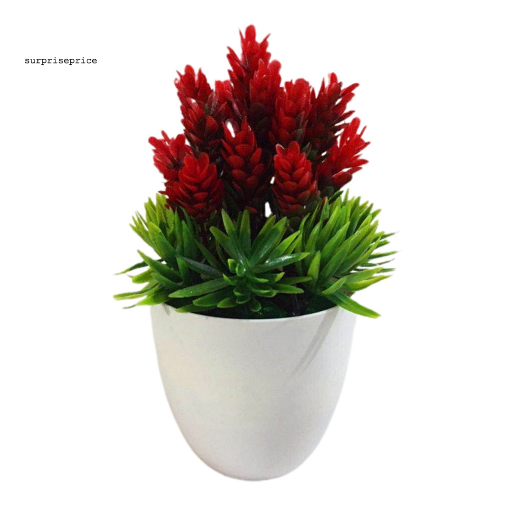 Chậu Cây Bonsai Giả Trang Trí Sân Vườn