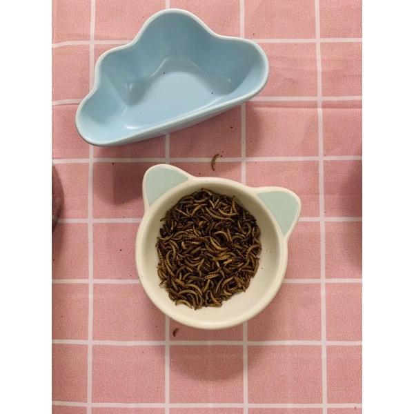 Thức ăn dặm cho hamster