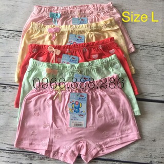 Combo 5 quần chíp đùi bé gái