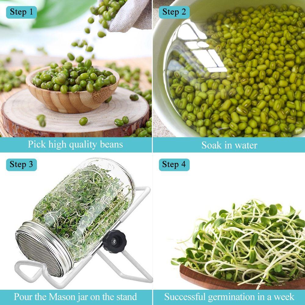 Nắp Lưới Bằng Thép Không Gỉ Cho Chậu Trồng Cây Mason Jar