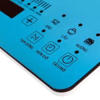 Bếp Từ Đơn Japan TAKA I1B