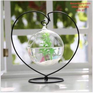 Bể Cá Mini Phong Thủy Hình Trái Tim 21 ( Tặng kèm combo phụ kiện trang trí )