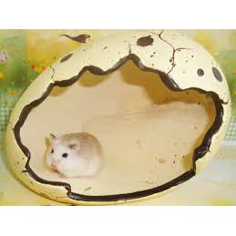 Nhà trứng khủng long cho nhím kiểng, hamster