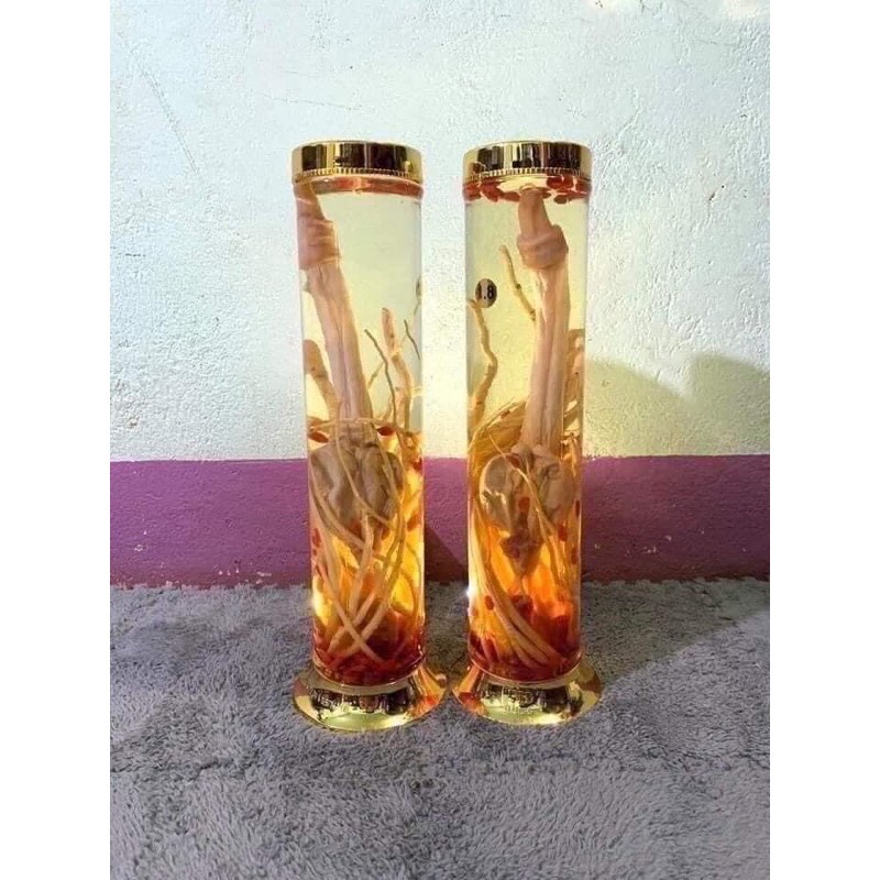 Combo Pín Hươu Ngâm Rượu Mạnh Nhất