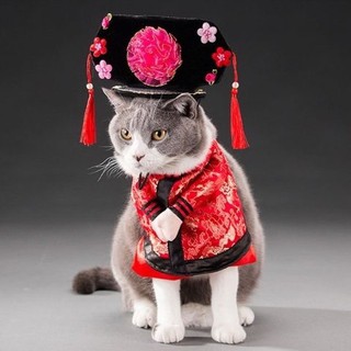 Bộ cosplay cách cách dành cho chó mèo
