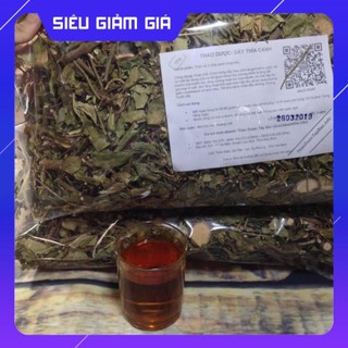 [Nguyên Chất 100%] Dây Thìa Canh Thái Nguyên ( Dây Thìa Canh Lá To )