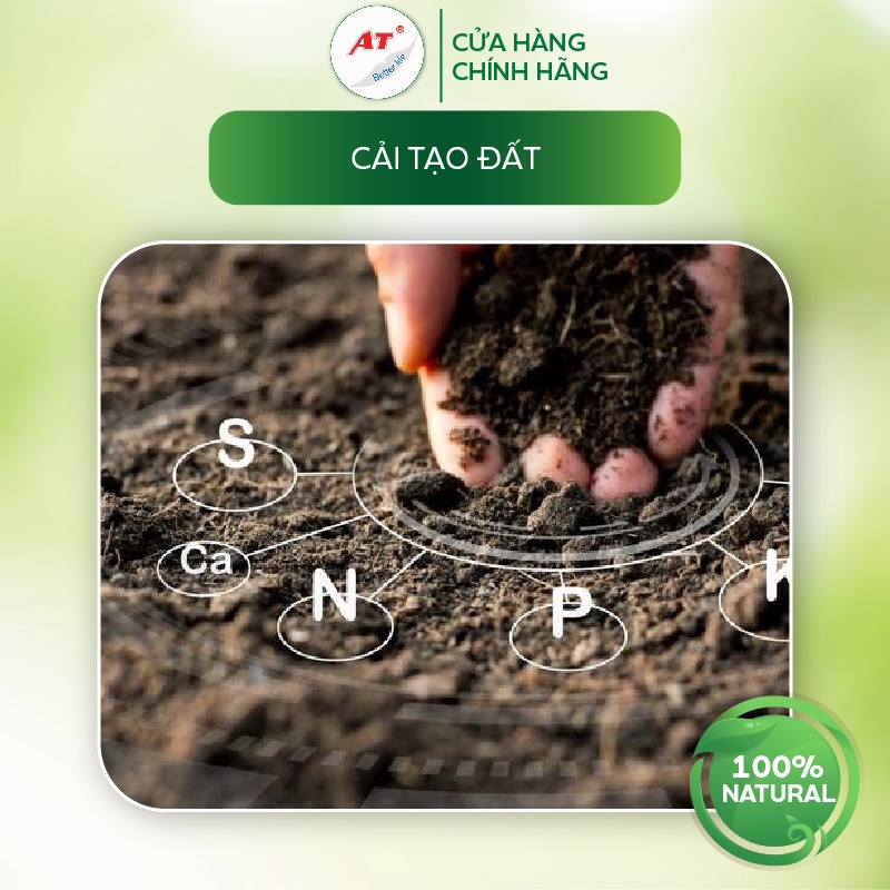 Kích rễ sinh học đậm đặc siêu ra rễ cực mạnh cho rau màu, hoa hồng, hoa lan, cây cảnh trong nhà - B52 siêu ra rễ 100ml