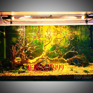 Đèn rọi 3 chế độ 3w ,5w, 7w