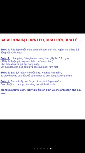 Hạt giống dưa hấu mini